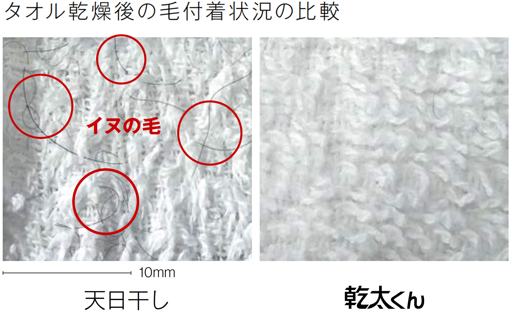 タオル乾燥後の毛付着状況の比較